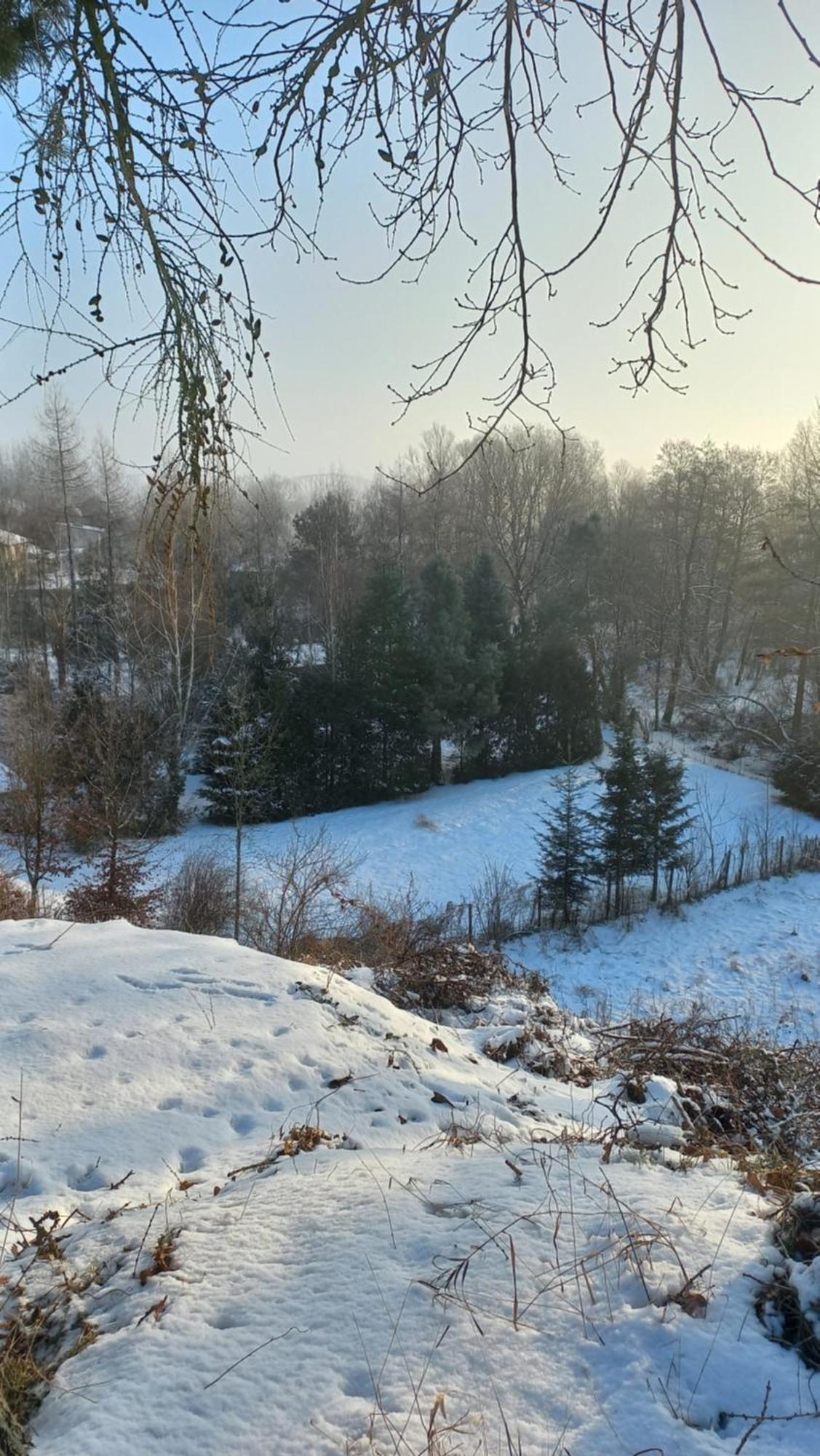 Apartamenty Warka Bagian luar foto