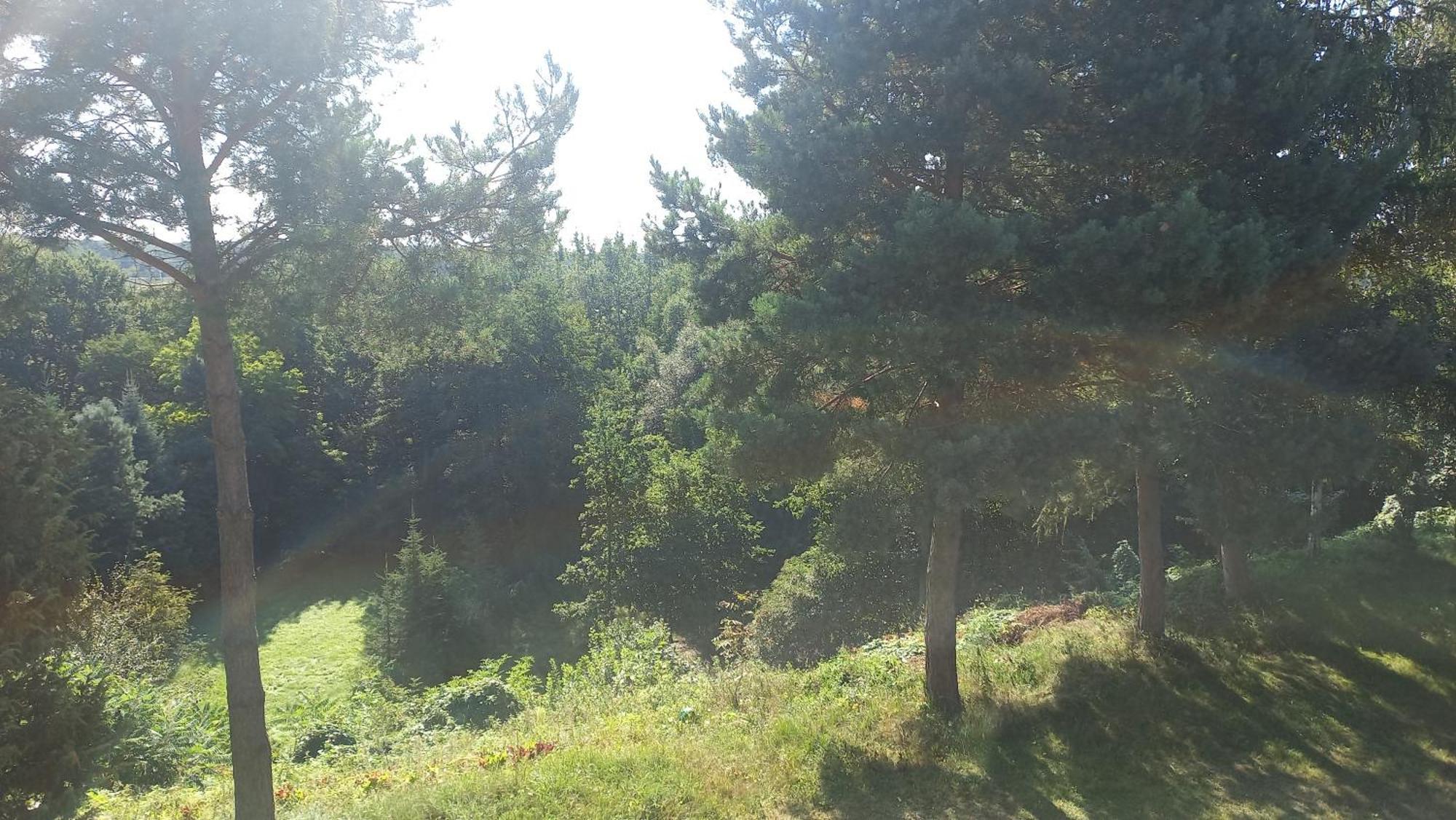 Apartamenty Warka Bagian luar foto