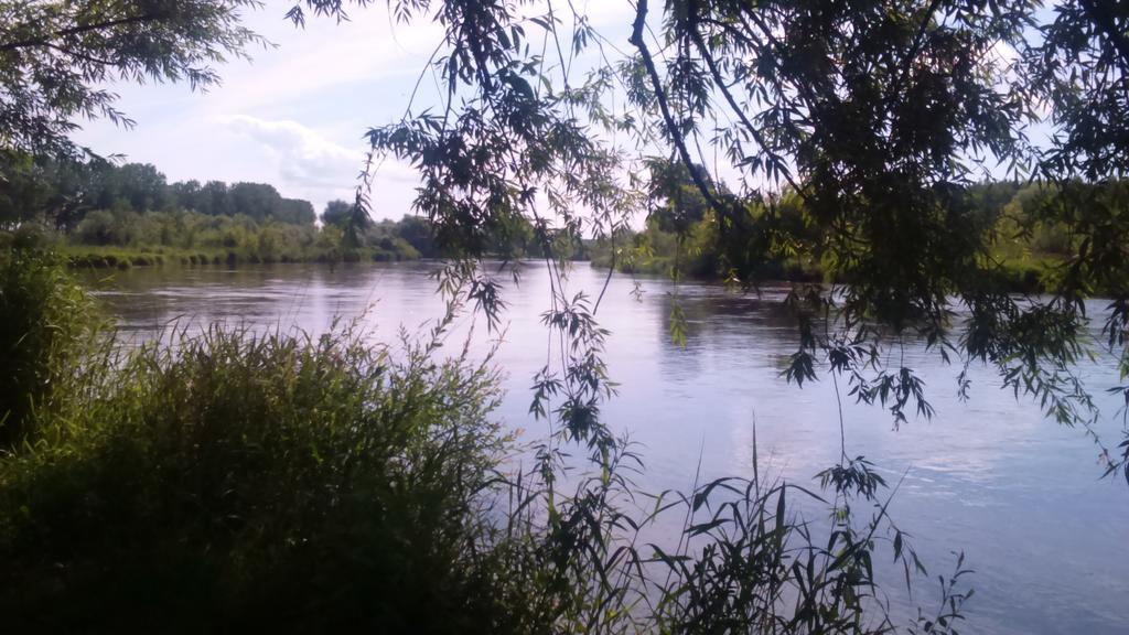 Apartamenty Warka Bagian luar foto